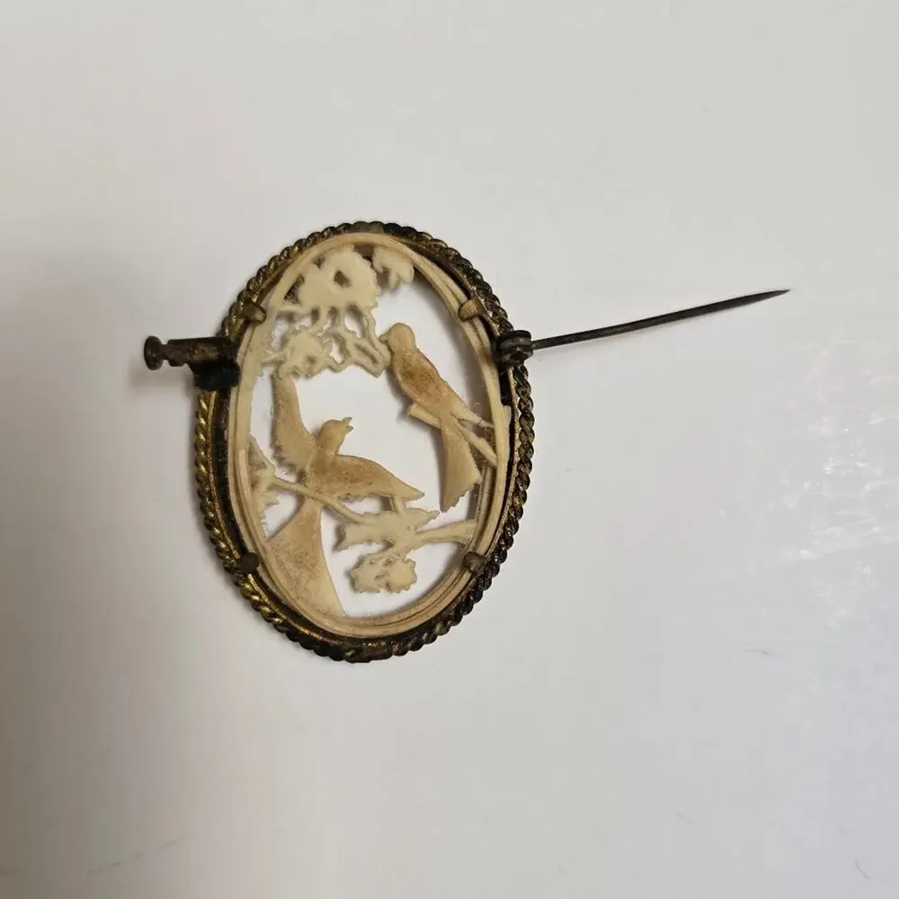 Depose France Celluloid Gold Tone Bird Oval Brooch Ornate Carved Antique Read